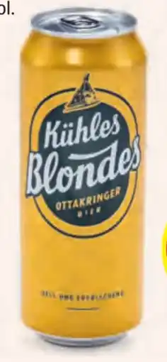 Hofer Ottakringer Kühles Blondes Märzen Angebot