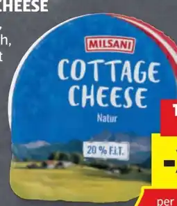 Hofer Milsani Cottage Cheese Angebot