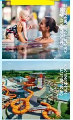 Hofer Hofer-Reisen Lutzmannsburg Burgenland Angebot