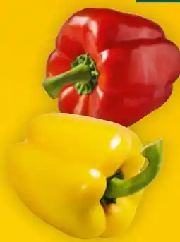 Billa Paprika Angebot