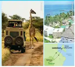 Hofer Hofer-Reisen Tansania-Sansibar Safari-Baden Angebot