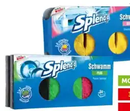 Interspar Splendid Schwämme Plus Angebot