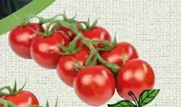 Spar Midi-Rispentomaten Angebot