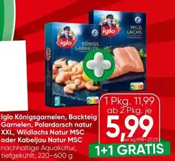 Spar Iglo Königsgarnelen Angebot
