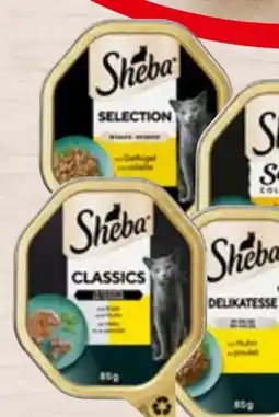 Spar Sheba Katzennahrung Angebot