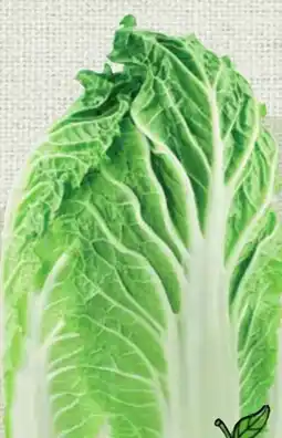 Spar Spar Chinakohl Angebot