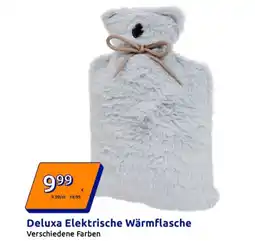 Action Deluxa Elektrische Wärmflasche Verschiedene Farben Angebot