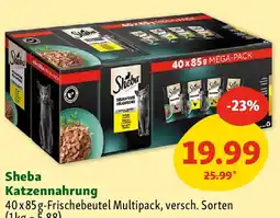 Fressnapf Sheba Katzennahrung Angebot