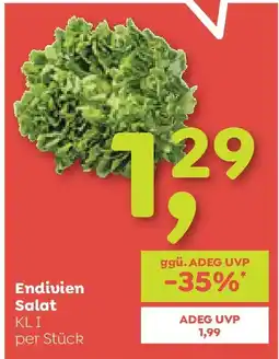 ADEG Endivien Salat Angebot