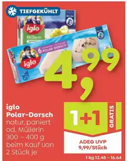 ADEG iglo Polar-Dorsch Angebot