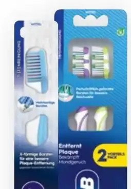 Bipa Braun Oral-B Aufsteckbürsten Pro Clean Angebot