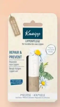 dm Kneipp Lippenpflege Angebot