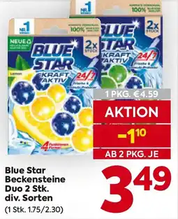 Billa Blue Star Beckensteine Duo Angebot