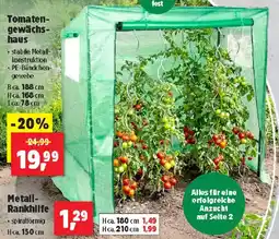 Thomas Philipps Metall- Rankhilfe Angebot