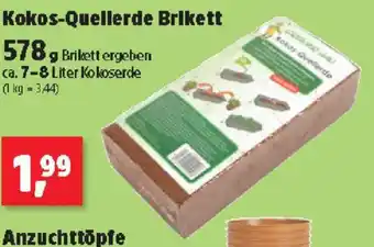 Thomas Philipps Kokos-Quellerde Brikett Angebot