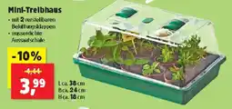 Thomas Philipps Mini-Treibhaus Angebot