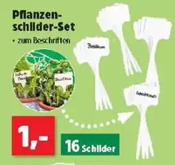 Thomas Philipps Pflanzen- schilder-Set Angebot