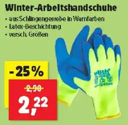 Thomas Philipps Winter-Arbeltshandschuhe Angebot