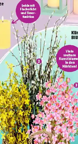 Thomas Philipps Welden- kätzchen Angebot