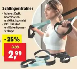 Thomas Philipps Schlingentralner Angebot