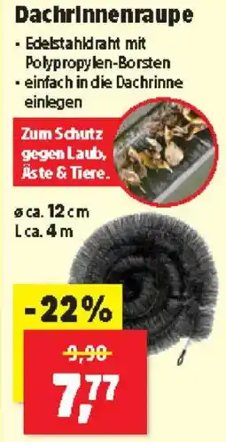 Thomas Philipps Dachrinnenraupe Angebot