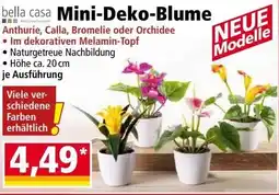 Norma Mini Deko Blume Angebot