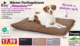 Norma Wärme tierliegekissen Angebot