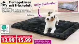 Norma Tierliegekissen mit Frischeduft Angebot