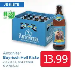 T&G Antoniter Bayrisch Hell Kiste Angebot