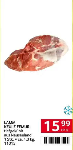 Transgourmet Lamm keule femur Angebot