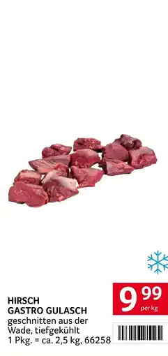 Transgourmet Hirsch gastro gulasch Angebot