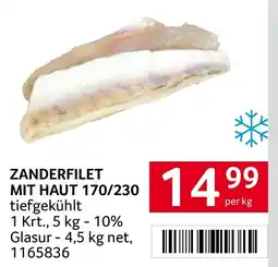 Transgourmet Zanderfilet mit haut 170/230 Angebot