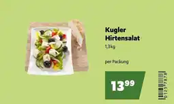 Eurogast Grissemann Kugler Hirtensalat Angebot