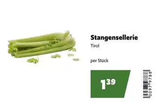 Stangensellerie
