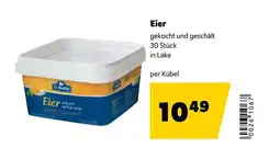 Eurogast Grissemann Eier Angebot