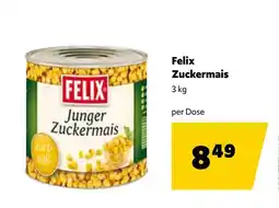Eurogast Grissemann Felix Zuckermais Angebot