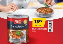 Eurogast Grissemann FELIX Gulaschsuppe Angebot