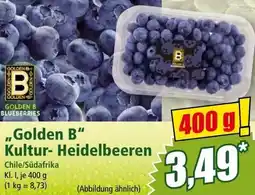 Norma Golden B" Kultur Heidelbeeren Angebot