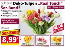 Norma Deko-Tulpen Angebot