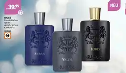 Müller RIGGS Angebot