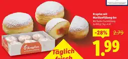Lidl Krapfen mit Marillenfüllung 6er Angebot