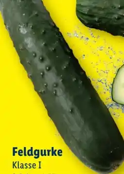 Lidl Feldgurken Angebot