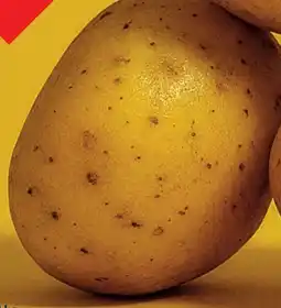 Lidl Grillkartoffeln Angebot