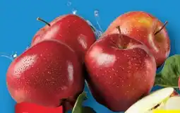 Lidl Bio-Äpfel Angebot