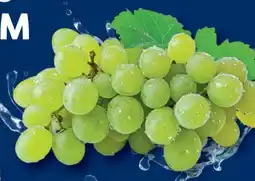 Lidl Trauben Angebot