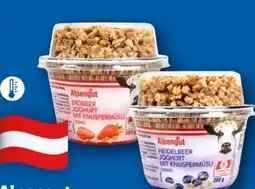 Lidl Alpengut Joghurt Angebot