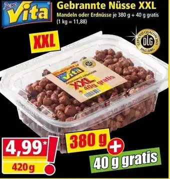 Norma Gebrannte Nüsse XXL Angebot