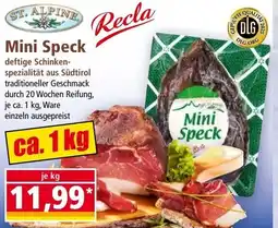 Norma Mini Speck Angebot