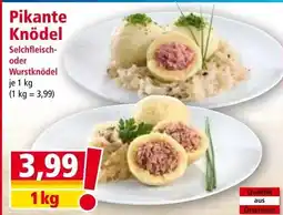 Norma Pikante Knödel Angebot