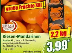 Norma Riesen-Mandarinen Angebot